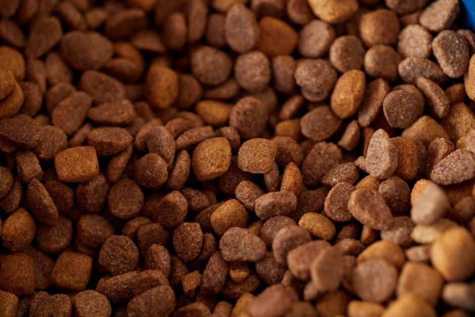 Close-up of a dog food bag's ingredient and guaranteed analysis label