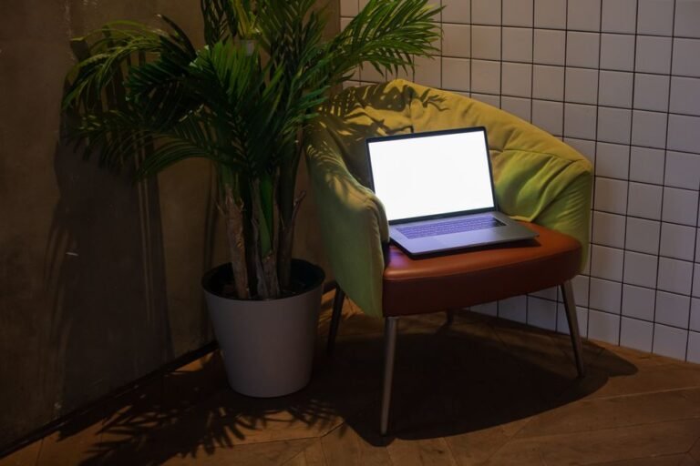 A litter box placed in a quiet, accessible corner of a room